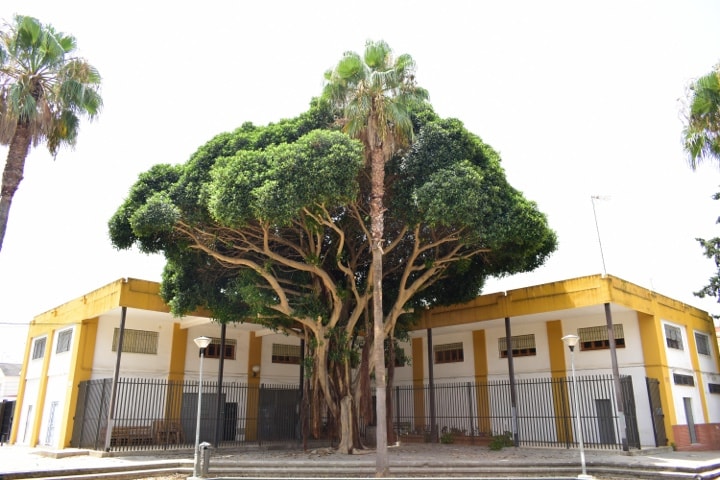 Sede y Centro Social Polivalente y de Formación Profesional